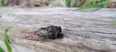 Enlarge photo 292
