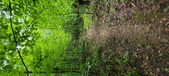 Enlarge photo 283