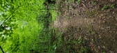 Enlarge photo 282