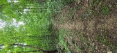 Enlarge photo 281