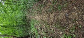 Enlarge photo 280