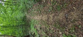 Enlarge photo 279