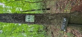Enlarge photo 274