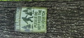 Enlarge photo 273