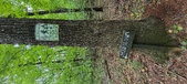 Enlarge photo 271