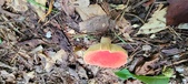 Enlarge photo 268