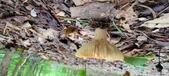 Enlarge photo 269