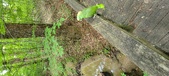 Enlarge photo 263