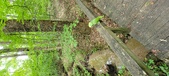 Enlarge photo 262