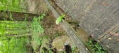 Enlarge photo 261