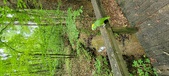 Enlarge photo 256
