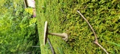 Enlarge photo 253