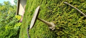 Enlarge photo 251