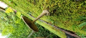 Enlarge photo 250