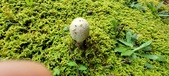 Enlarge photo 249
