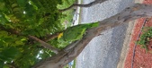 Enlarge photo 197