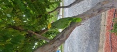Enlarge photo 193
