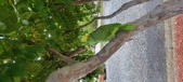Enlarge photo 194