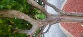 Enlarge photo 196
