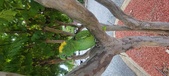 Enlarge photo 192