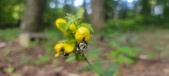 Enlarge photo 184