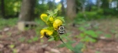 Enlarge photo 182