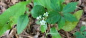 Enlarge photo 170