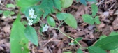 Enlarge photo 169