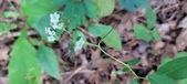 Enlarge photo 168
