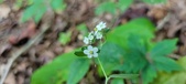 Enlarge photo 167