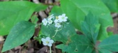 Enlarge photo 166