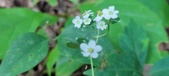 Enlarge photo 164