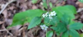 Enlarge photo 163