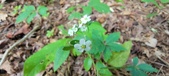 Enlarge photo 160