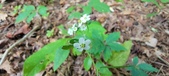 Enlarge photo 159