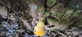 Enlarge photo 158