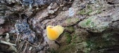 Enlarge photo 157