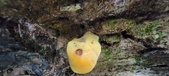 Enlarge photo 156