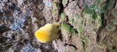 Enlarge photo 153