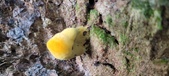 Enlarge photo 152