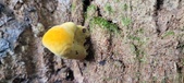 Enlarge photo 151