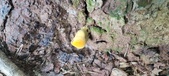 Enlarge photo 150