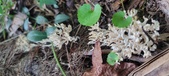 Enlarge photo 149