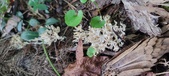 Enlarge photo 148