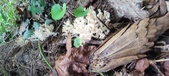 Enlarge photo 144