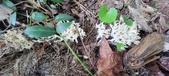 Enlarge photo 142