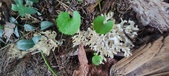 Enlarge photo 139