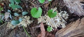 Enlarge photo 138