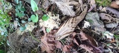 Enlarge photo 136