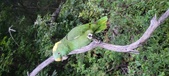 Enlarge photo 97